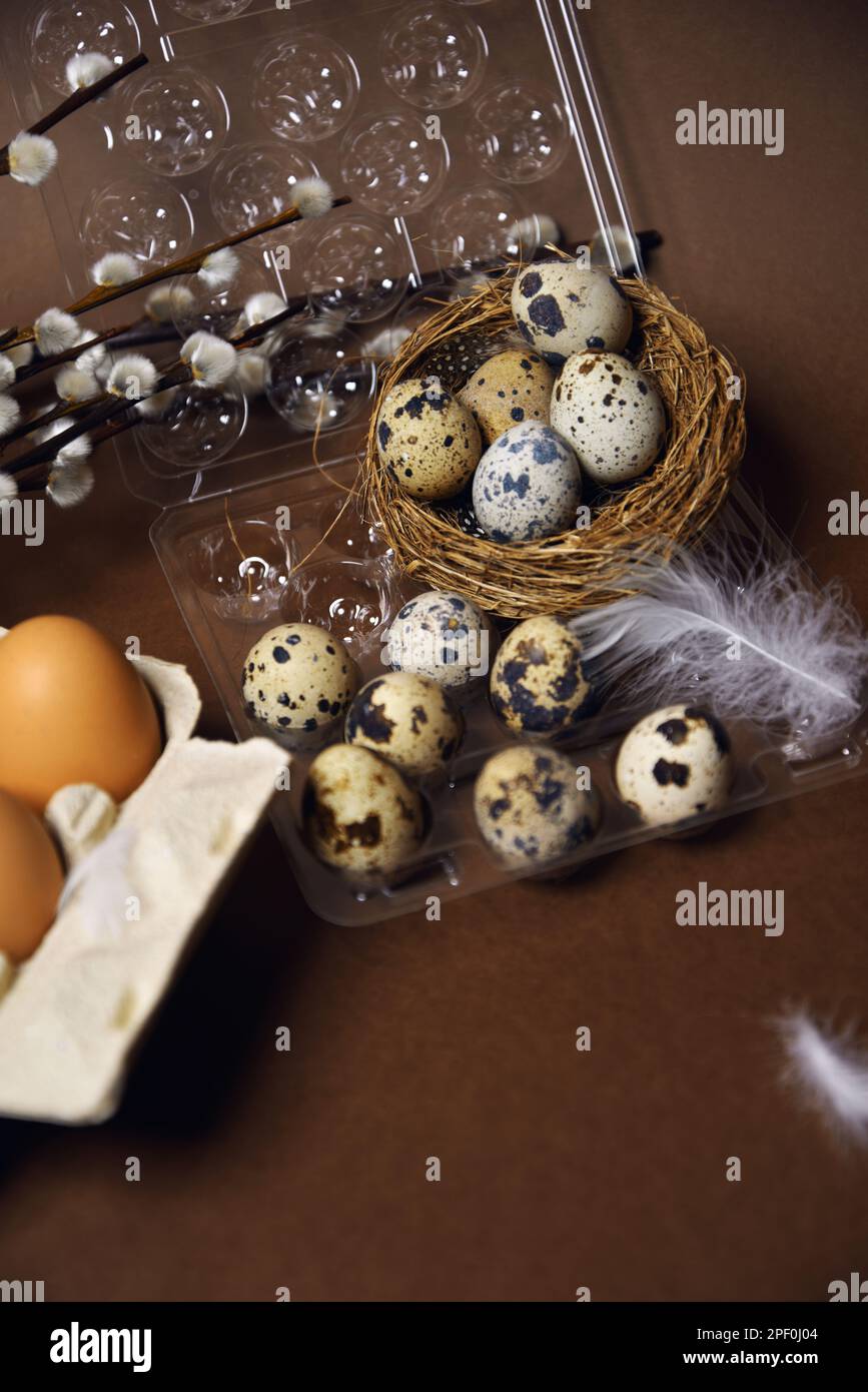 Wachtel und gewöhnliche Eier in Plastik- und Papierpackungen, auf braunem Hintergrund, Weide, Ostern, Hühnerfedern. Wachtelnest mit Eiern, ökologischer Betrieb, Stockfoto