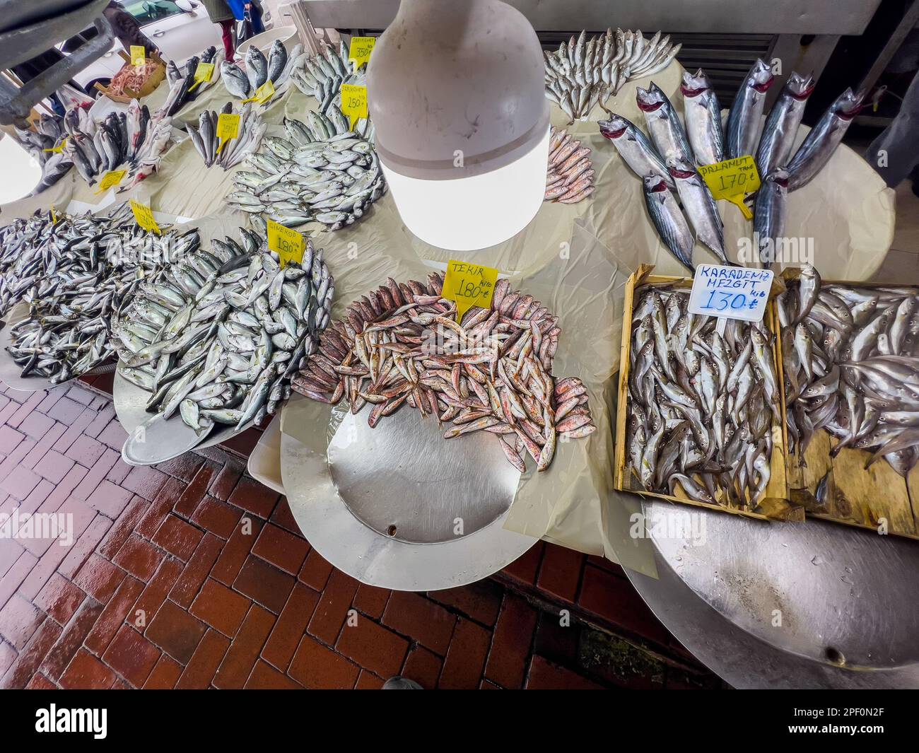 Großer Blickwinkel auf viele Seebarsche, Sardinen, Flunder, Meerbarben, die auf Tabletts zum Verkauf stehen. Essenshintergrund, Kopierraum. Frischer Fischstand auf dem Markt Stockfoto