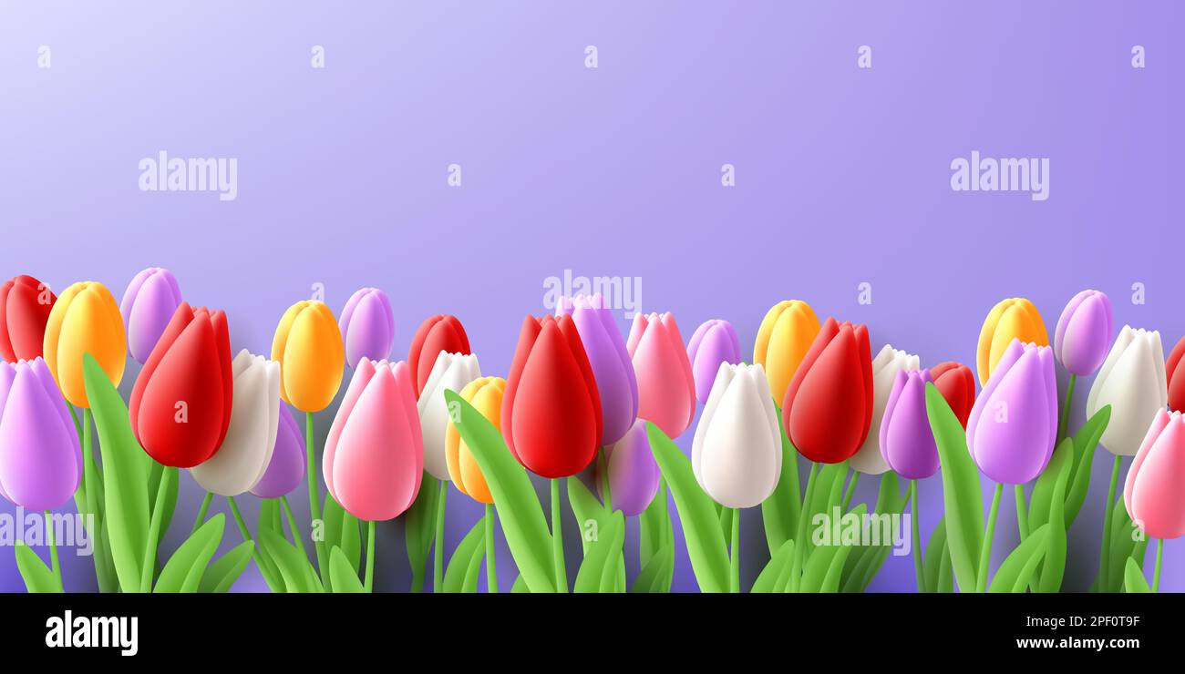 Tulpenblütenrand am unteren Bildschirmrand, farbenfrohe 3D-Renderblüte, isoliert Stock Vektor