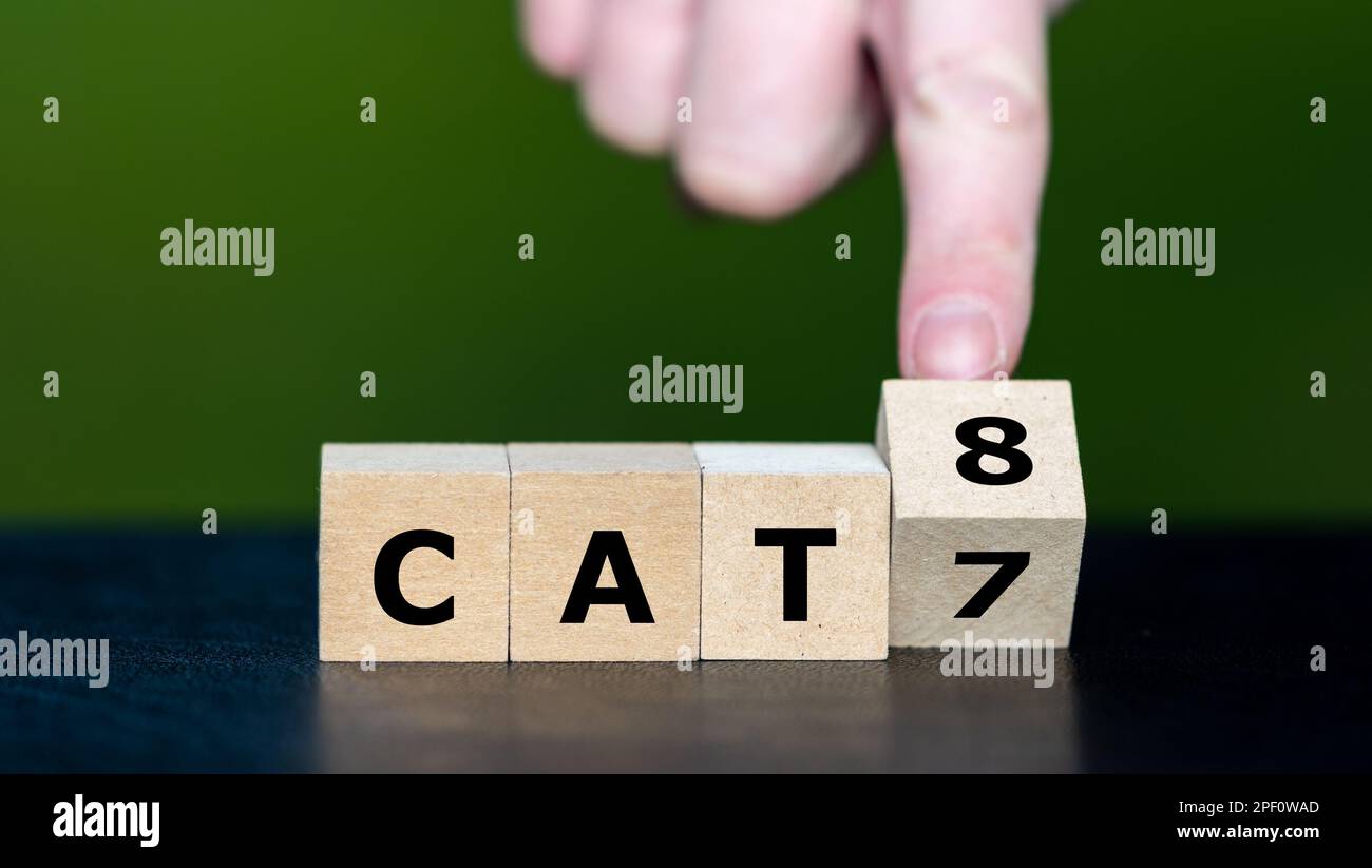 Symbol für Netzwerktechnologie. Die Hand dreht den Würfel und ändert den Ausdruck CAT7 in CAT8. Stockfoto