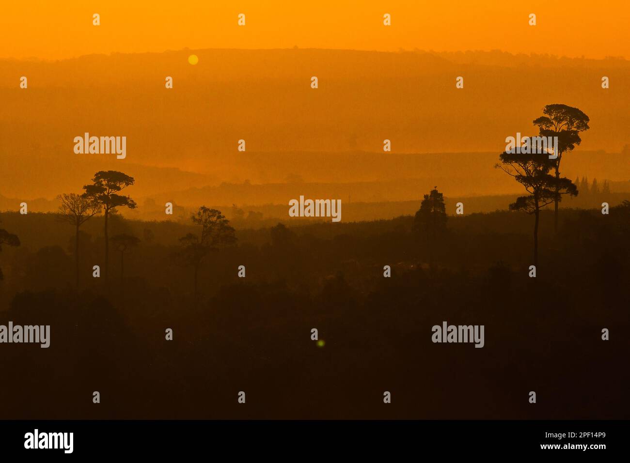 Landschaftssilhouette mit Bergbäumen auf orangefarbenem, hellen Hintergrund Stockfoto