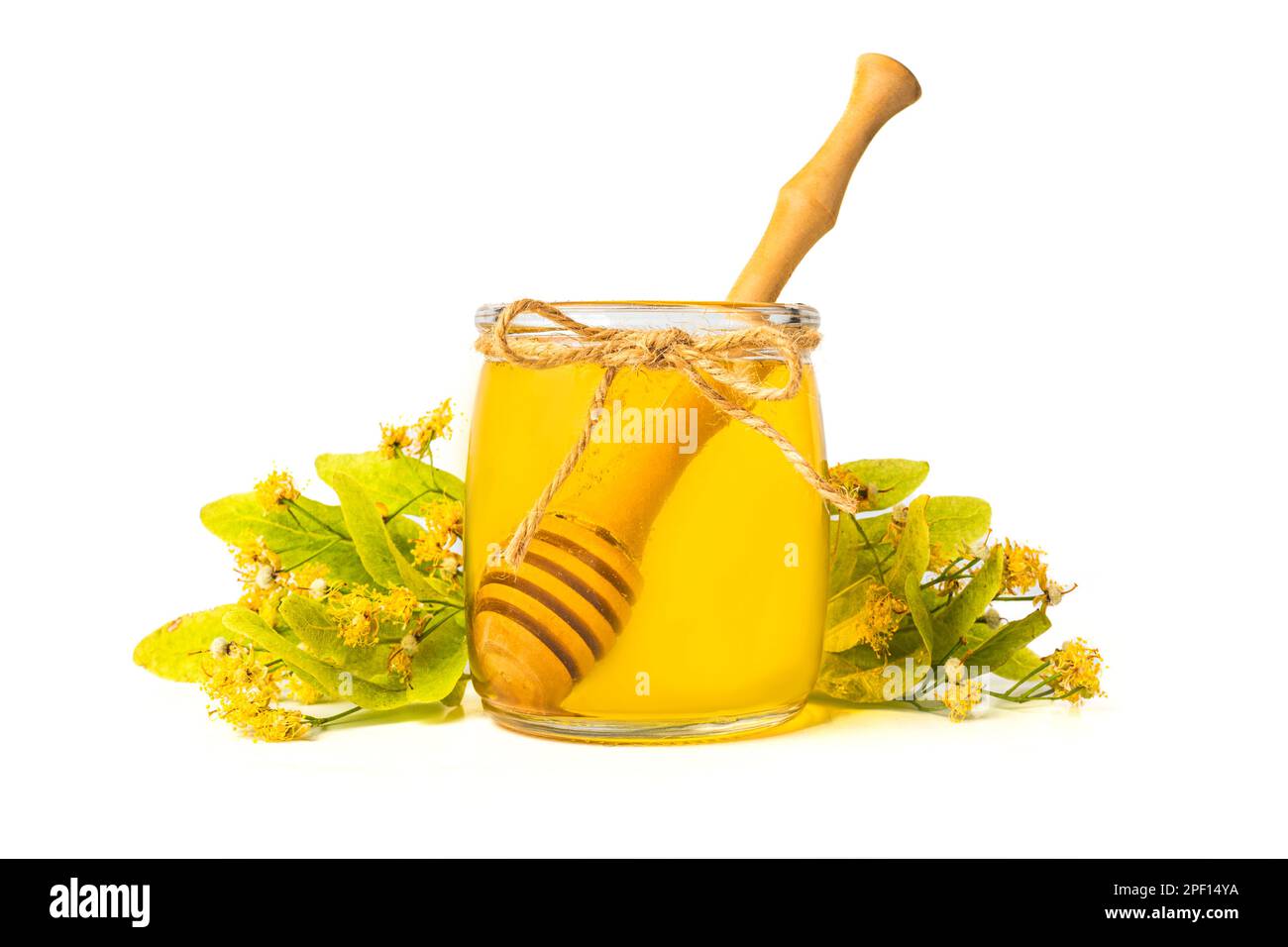 Isolierte Honigbiene in Glasgefäß mit Honigstiel auf weißem Hintergrund, Bienenprodukte. Gesundes Bio-Food-Konzept. Stockfoto