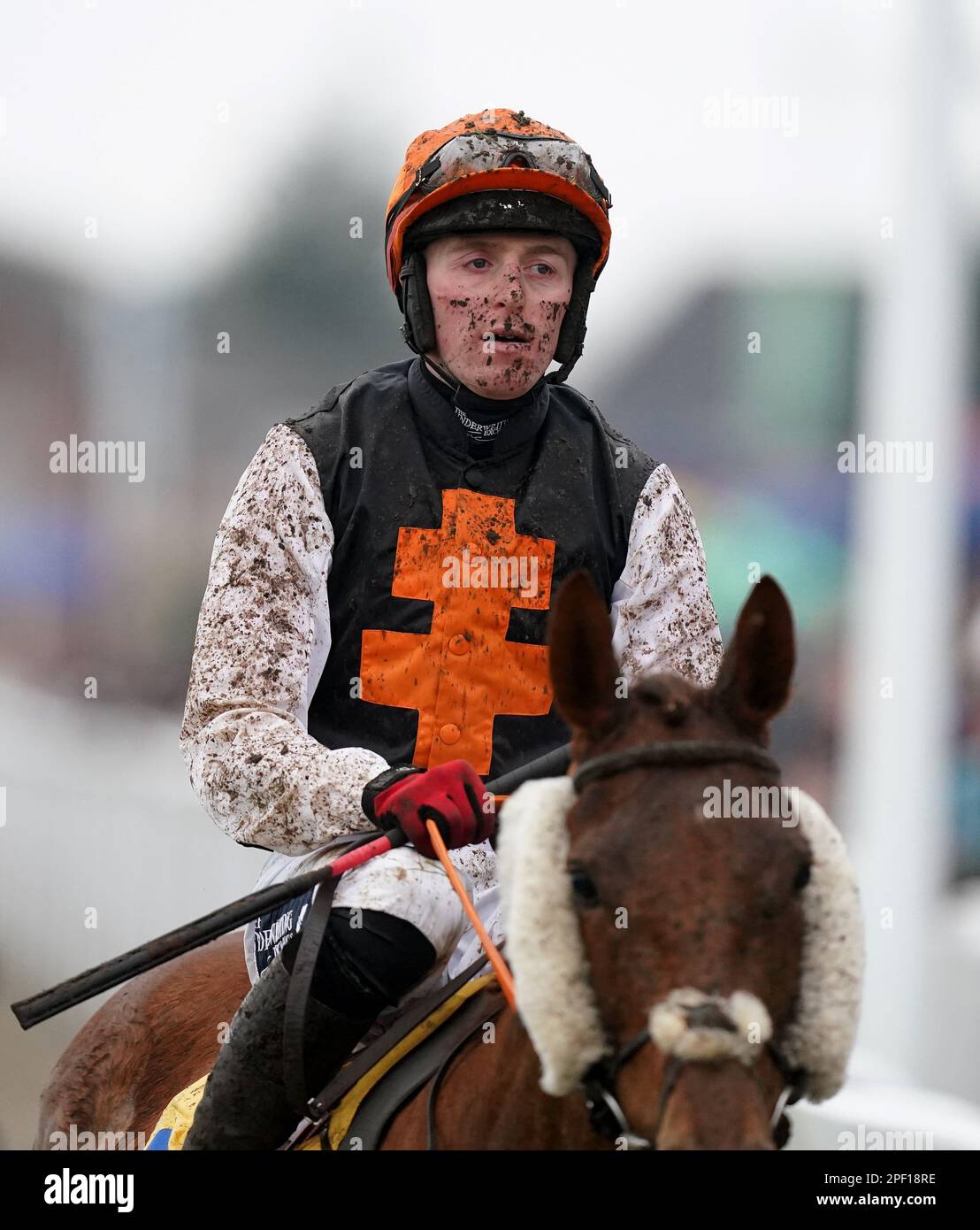 Jockey Keith Donoghue am dritten Tag des Cheltenham Festivals auf der Cheltenham Rennbahn. Foto: Donnerstag, 16. März 2023. Stockfoto