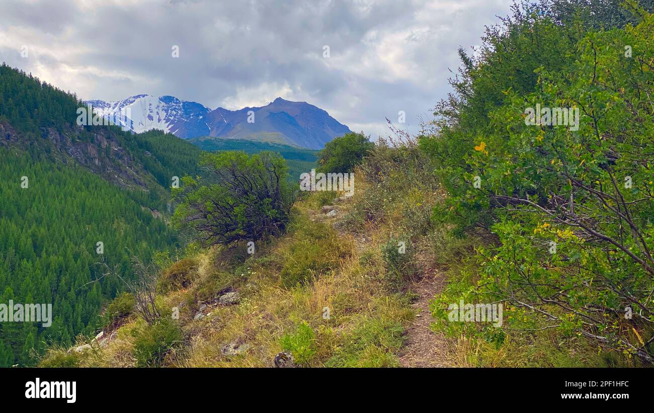 Ein Touristenpfad in den Büschen am Rande eines Berges unter den Wolken in Altai in Russland führt zu einem Felsen mit Schnee Stockfoto