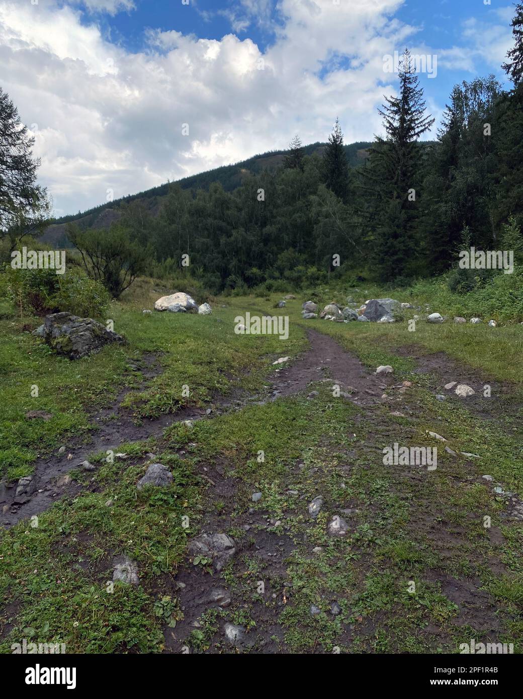 Der Pfad am Hang entlang des Berges zwischen den Steinen unter den Wolken führt in den Wald im Altai in Sibirien Stockfoto