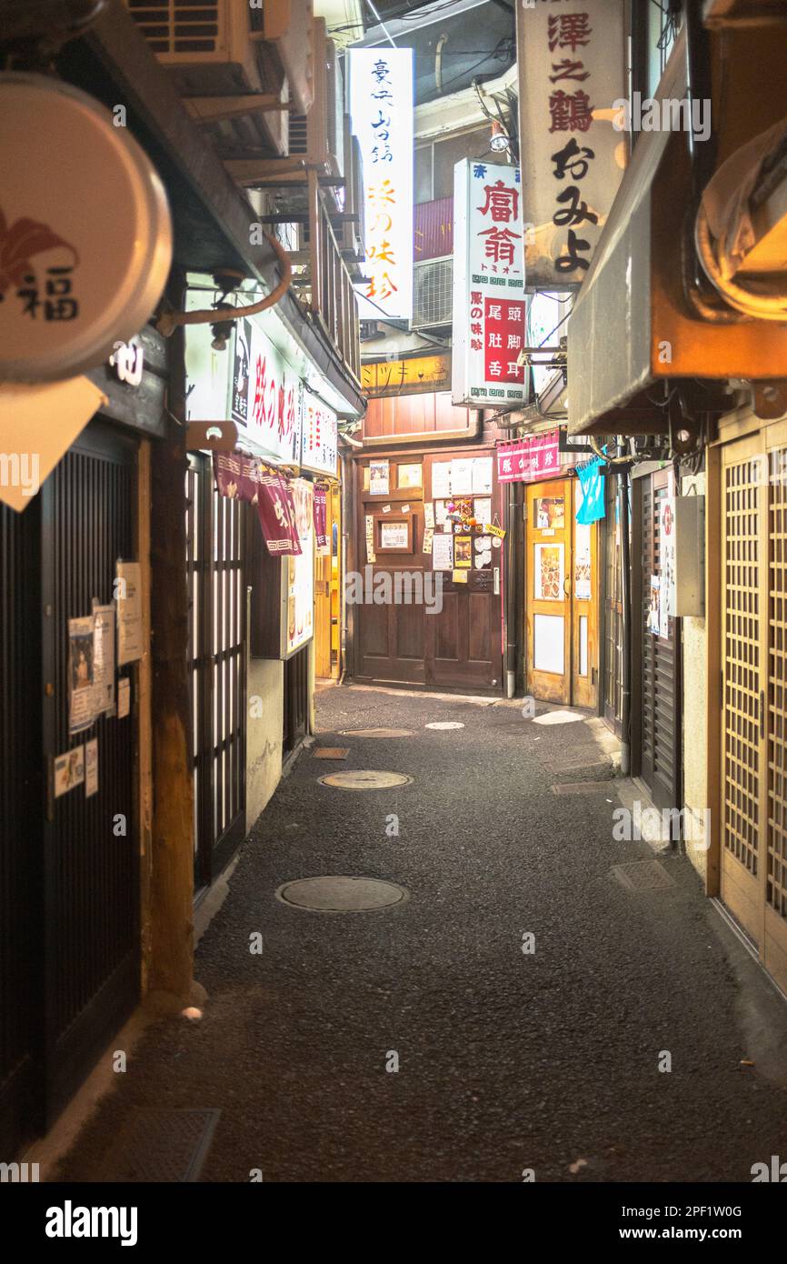 Tanukikoji (狸小路) ist eine kleine bedeckte Allee, gerade mal breit genug für zwei Personen, die zwischen zwei größeren Gebäuden versteckt und mit Ti gesäumt ist Stockfoto