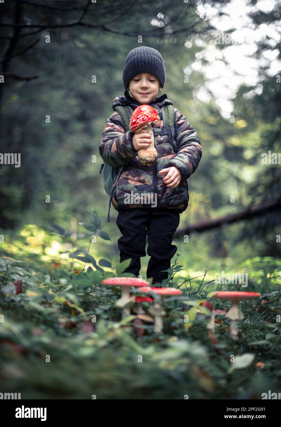 Kleines Kind mit Fly Agaric (Amanita muscari), wunderschöner rothaariger halluzinogener toxischer Pilz im Herbstwald. Kindheit mit naturliebendem Konzept Stockfoto