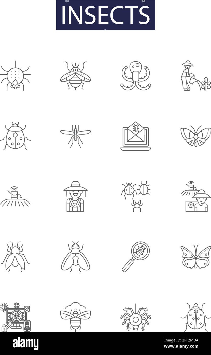 Insekten Linienvektorsymbole und -Zeichen. Fliegen, Ameisen, Wespen ...