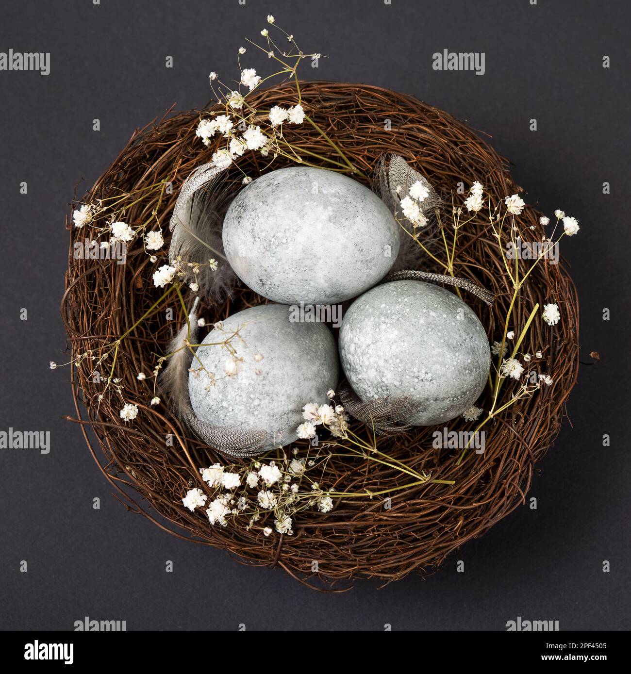 Braunes Zweignest mit drei grauen Ostereiern, Federn und Zweigen von Zigeunern auf schwarzem Hintergrund. Minimalistisches Osterkonzept Stockfoto