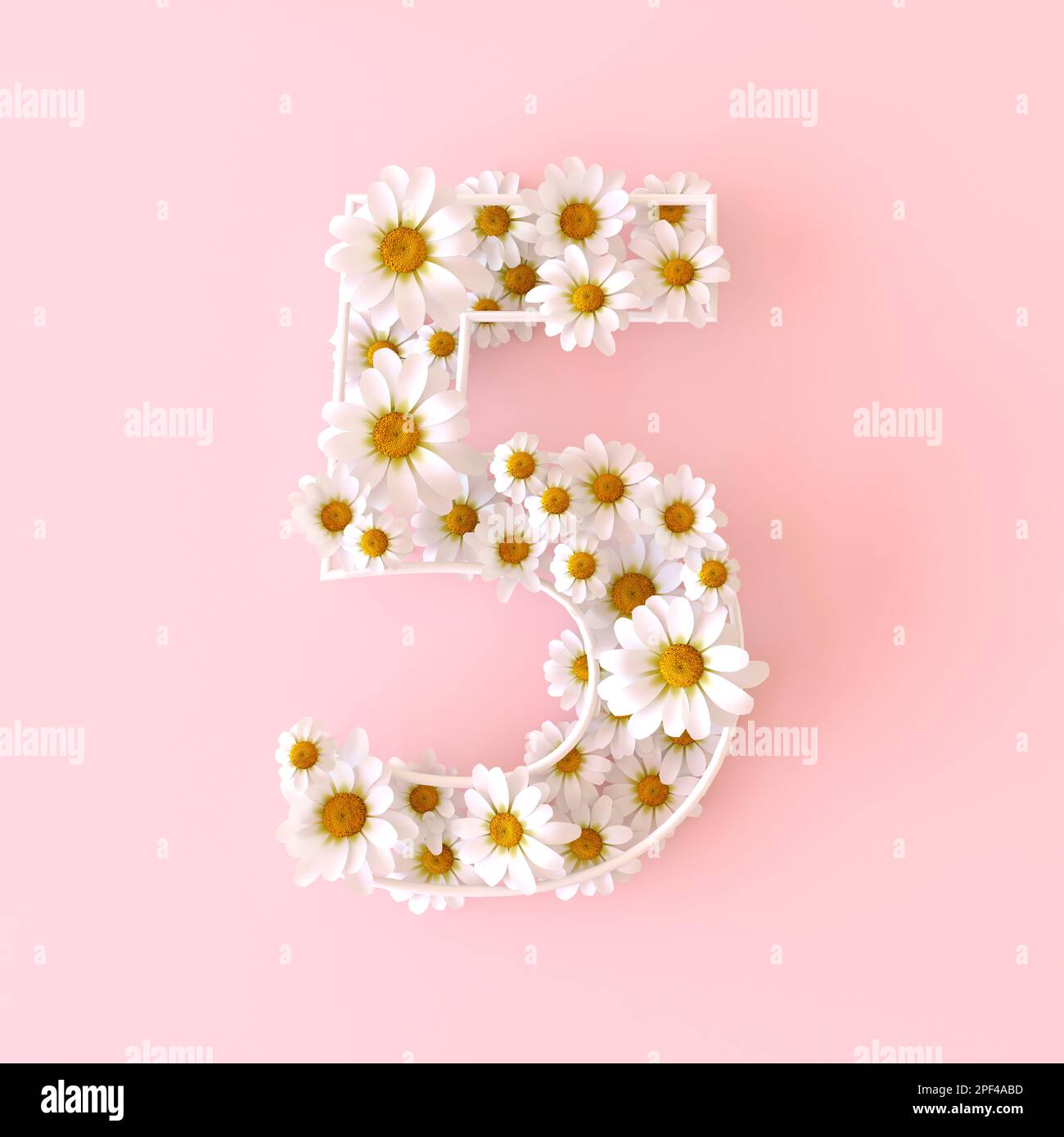 Nummer 5 aus natürlichen Kamillenblumen. Süße Camomiles Nummer fünf. Konzept mit Frühlingsblumen-Zahlen isoliert auf niedlichem pastellrosa Hintergrund. Oben Stockfoto