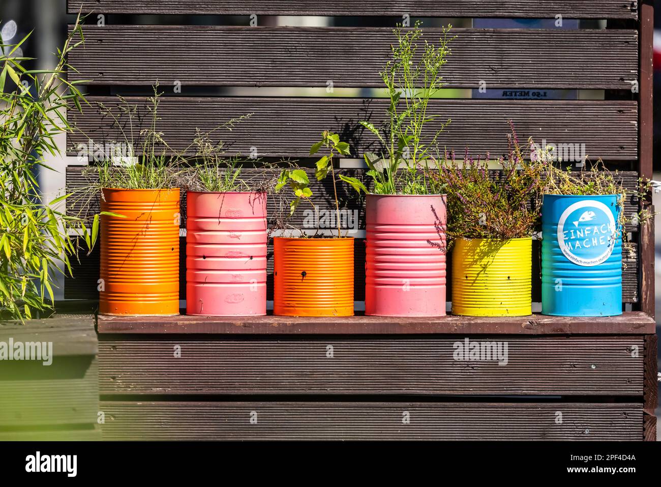 Kräuter und andere Pflanzen in bunten Blumentöpfen, Stuttgart, Baden-Württemberg, Deutschland Stockfoto