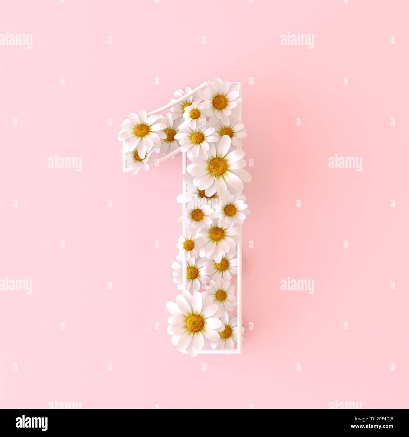 Nummer 1 aus natürlichen Kamillenblumen. Süße Camomiles Nummer eins. Konzept mit Frühlingsblumen-Zahlen isoliert auf niedlichem pastellrosa Hintergrund. Draufsicht Stockfoto