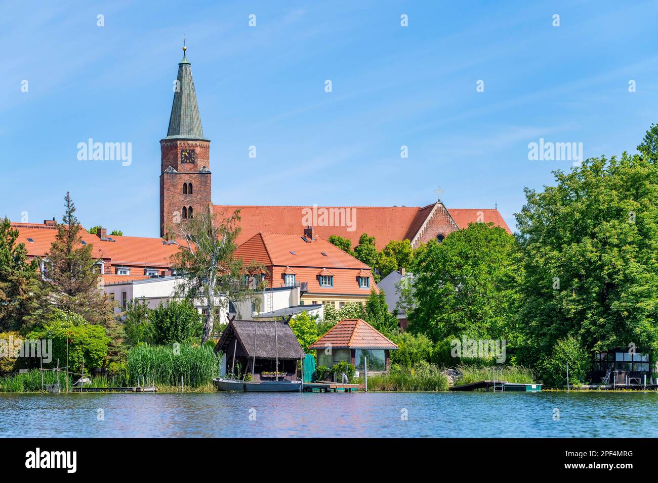 Kathedrale St. Peter und Paul, Dom-Insel, Brandenburg an der Havel, Brandenburg, Deutschland Stockfoto
