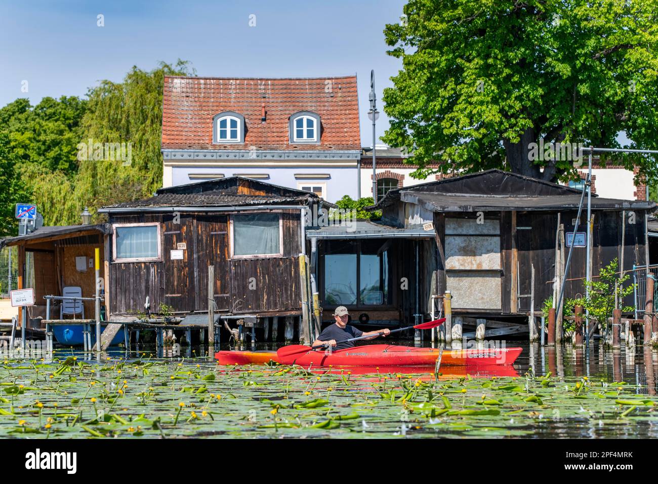 Paddler in einem Kajak auf dem Havel, hinter Bootshäusern, Brandenburg an der Havel, Brandenburg, Deutschland Stockfoto