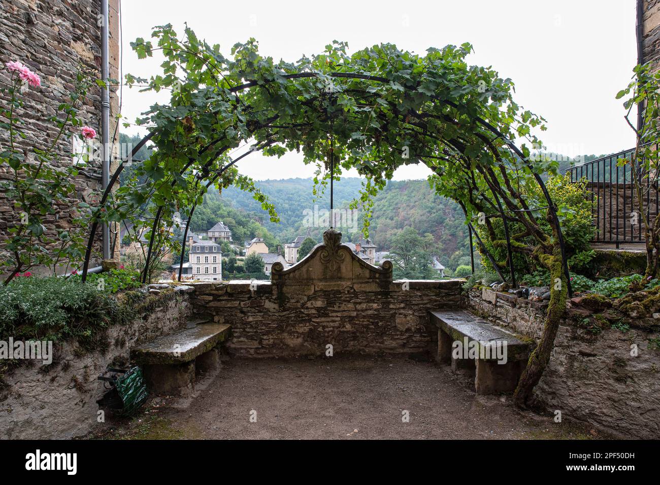 Eine Rebe wird als Dorn über alten Steinbänken im Innenhof eines Gartens oder Hauses verwendet Stockfoto