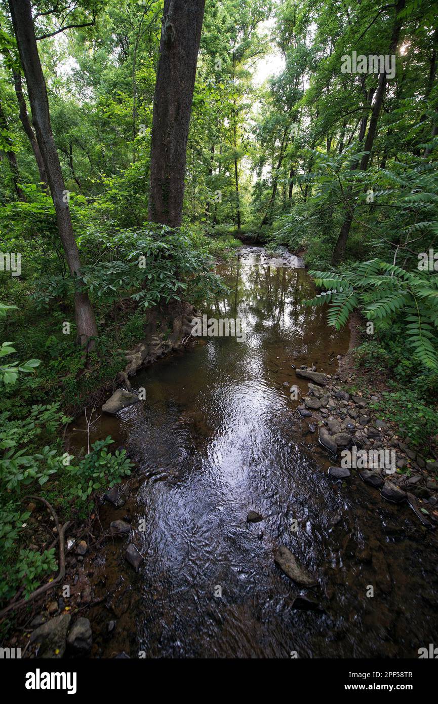 UNITED STATES - Juni 5, 2019: North Fork des Catoctin Creek außerhalb des Dorfes von Hillsboro. (Foto von Douglas Graham/WLP) Stockfoto