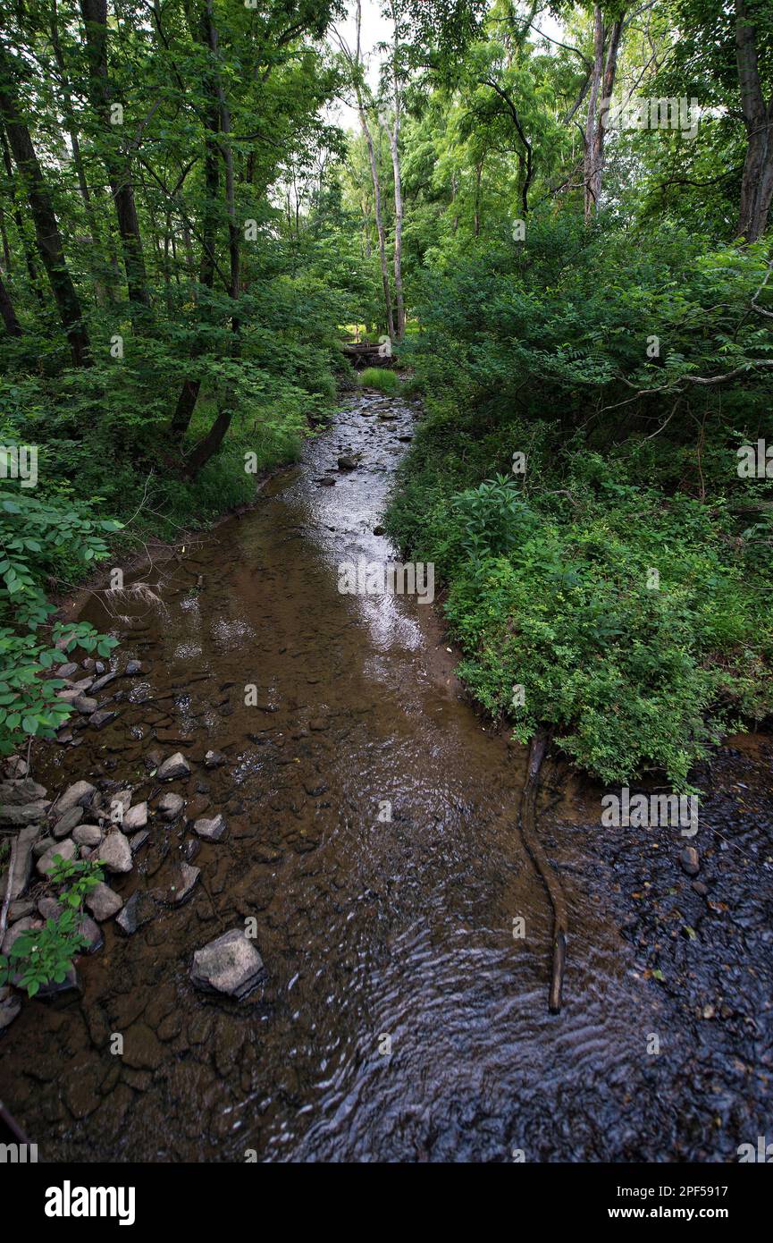 UNITED STATES - Juni 5, 2019: North Fork des Catoctin Creek außerhalb des Dorfes von Hillsboro. (Foto von Douglas Graham/WLP) Stockfoto