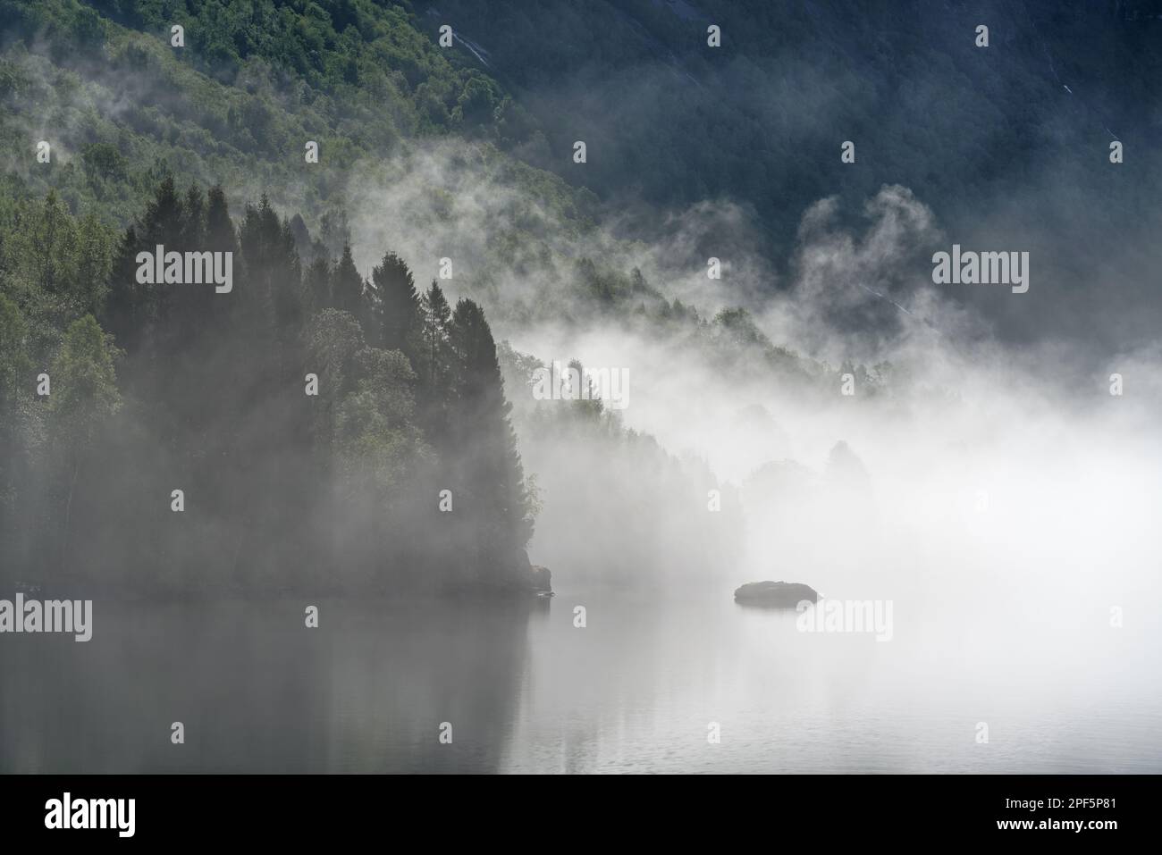 Nebelwolken treiben über einen See mit einer kleinen Insel in Norwegen an einem Frühlingsmorgen sind die Bäume am bewaldeten Seeufer teilweise nur schwach sichtbar Stockfoto