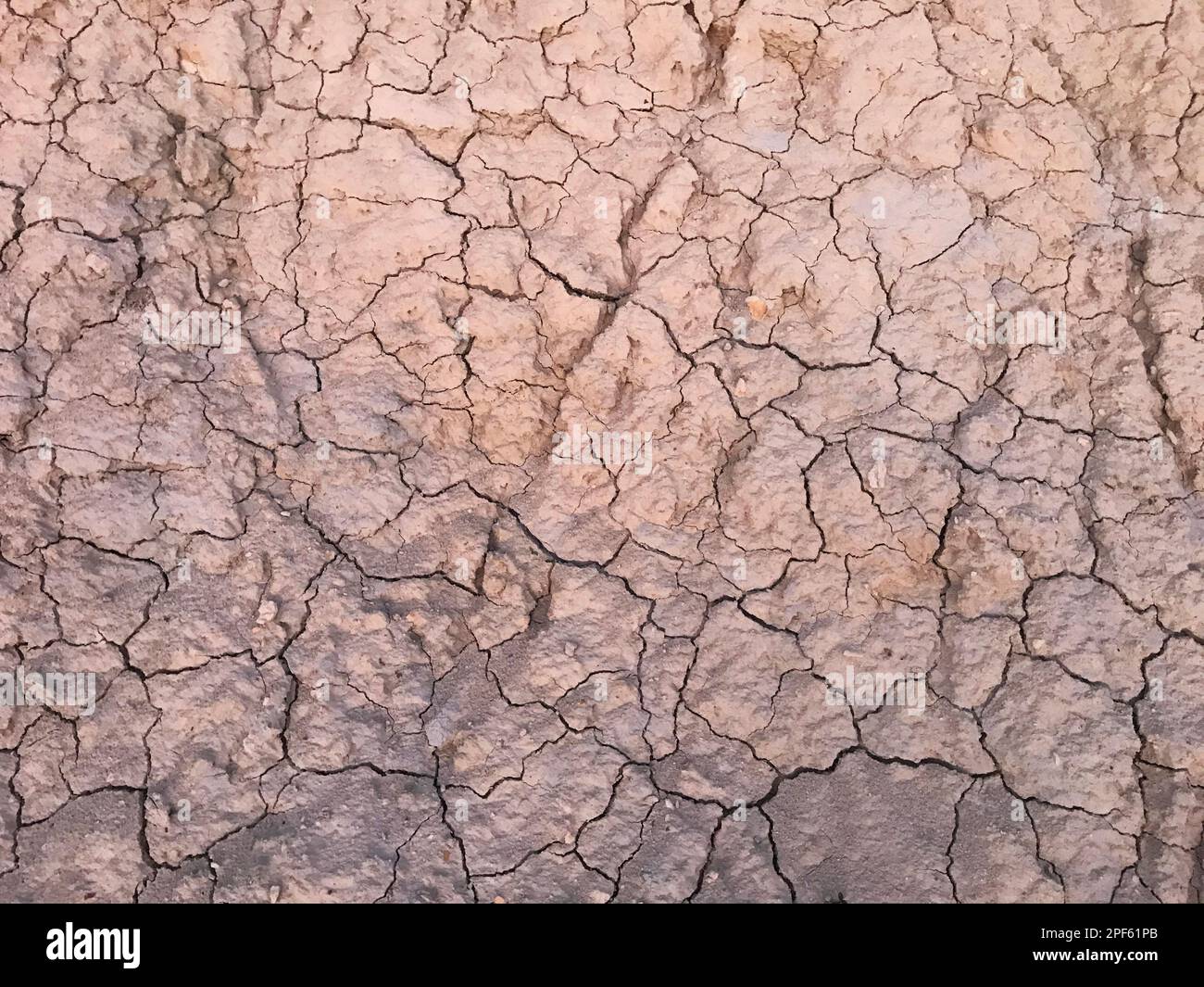Dürrefelddetails in der Natur. Stockfoto