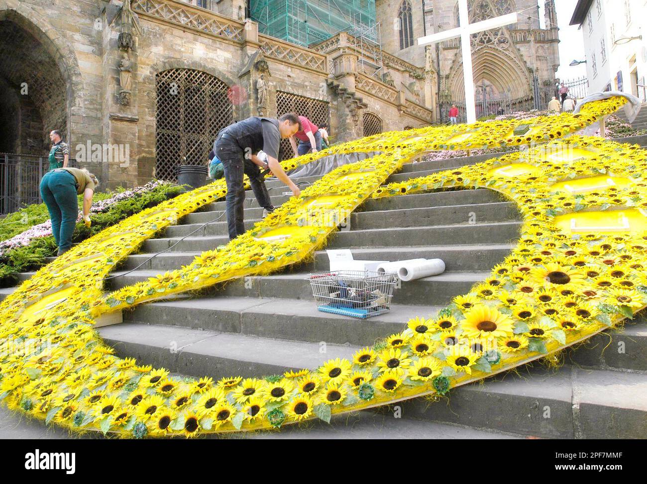 Stadt Am Rhein 7 Buchstaben Mitarbeiter der Stadt Erfurt dekorieren am Donnerstag, 24. April 2003