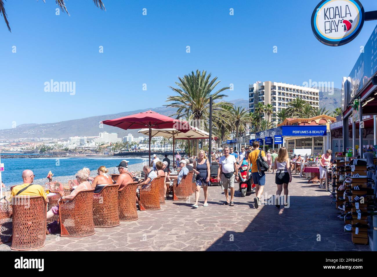 Geschäfte und Bars an der Strandpromenade, Calle Francisco Andrade Fumero, Playa de las Américas, Teneriffa, Kanarische Inseln, Königreich Spanien Stockfoto