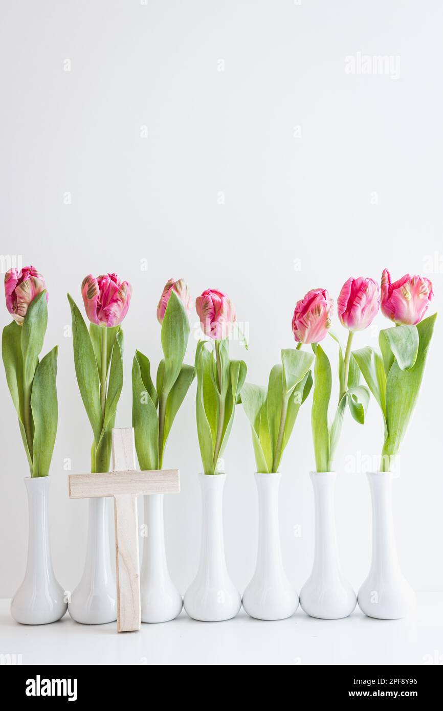 Frische pinkfarbene Tulpen in weißen Stielvasen auf weißem Hintergrund mit Kopierbereich Stockfoto