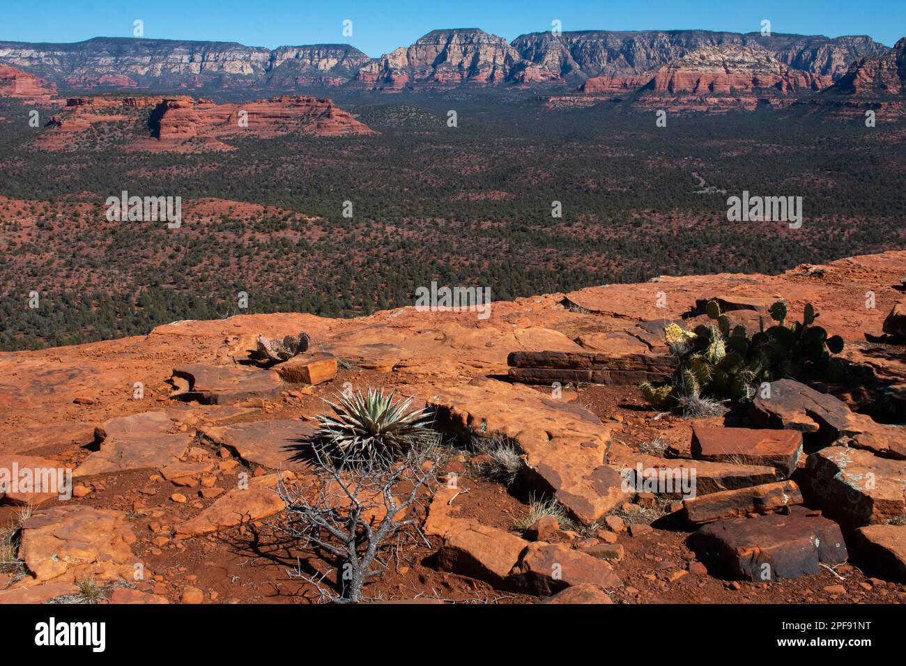 Die Aussicht vom Plateau auf dem Doe Mountain Wanderweg in Sedona, Arizona Stockfoto