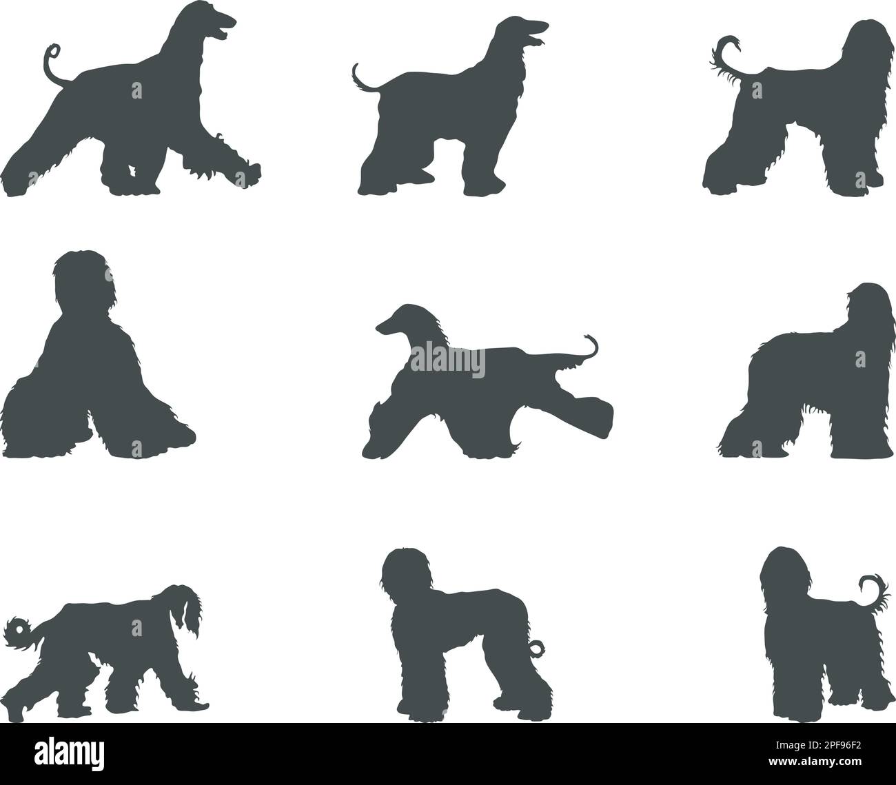 Afghanische Hunde-Silhouetten, afghanische Hunde-Silhouetten, afghanische Hunde-SVG Stock Vektor