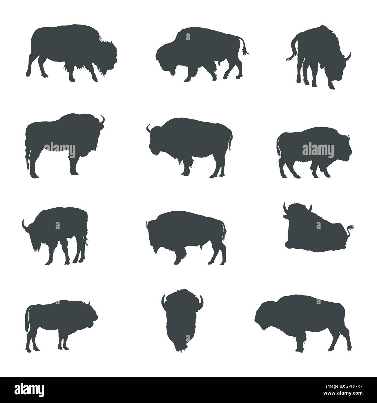 Bisons Büffelsilhouetten, Bison Büffeltiere Silhouetten Stock Vektor