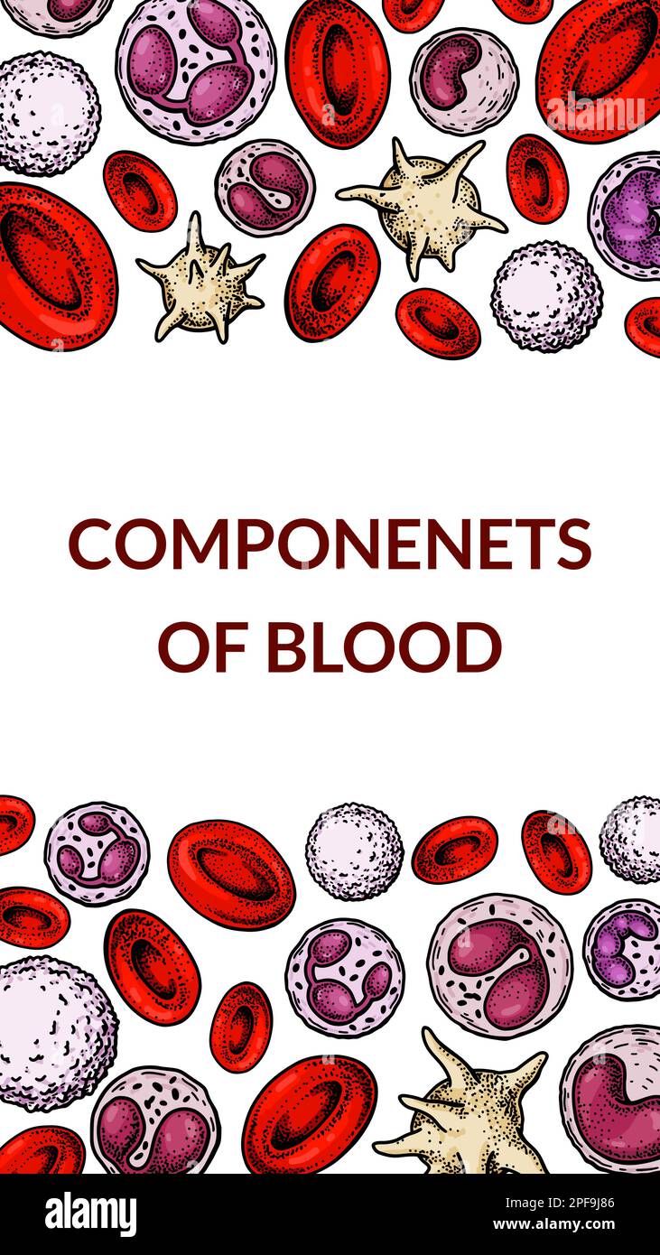 Blutzellhintergrund. Design für Bluttests, Anämie, Spende, Hämophilie, laborwissenschaftliche Forschungskonzepte. Vektordarstellung in Skizze st Stock Vektor