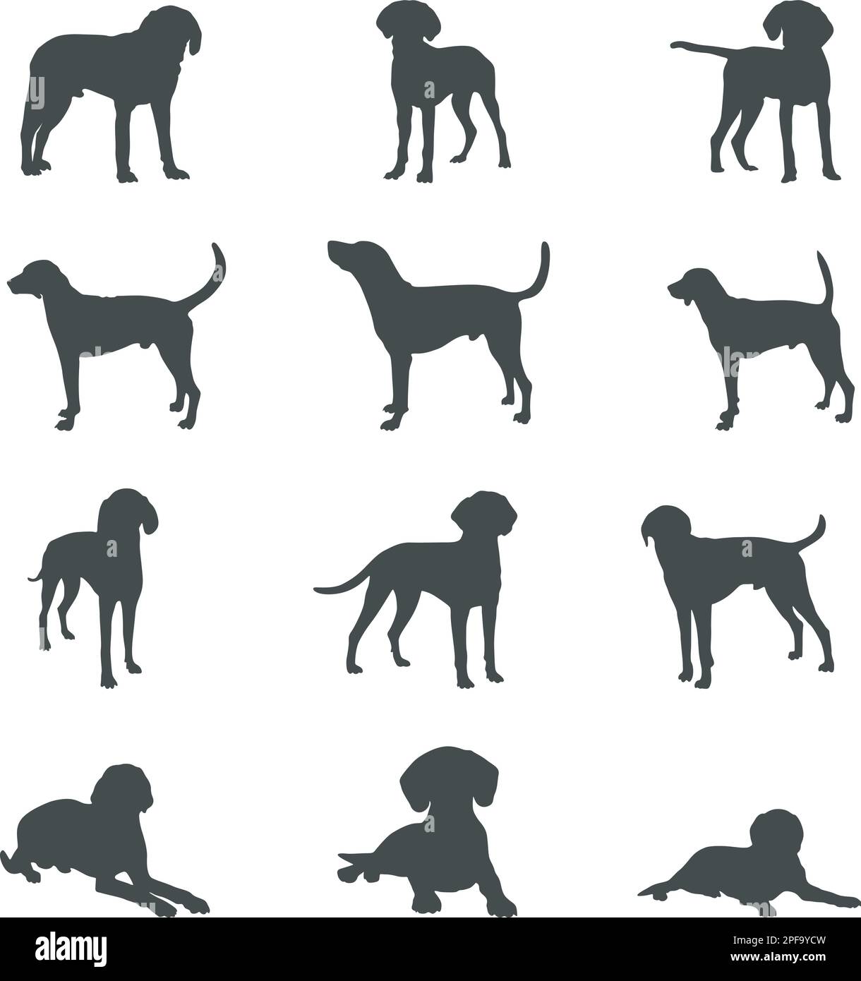 Amerikanische Fuchshund-Hunde-Silhouetten, amerikanische Fuchshund-Silhouetten, amerikanische Fuchshund-SVG, amerikanischer Fuchshund-Vektor Stock Vektor