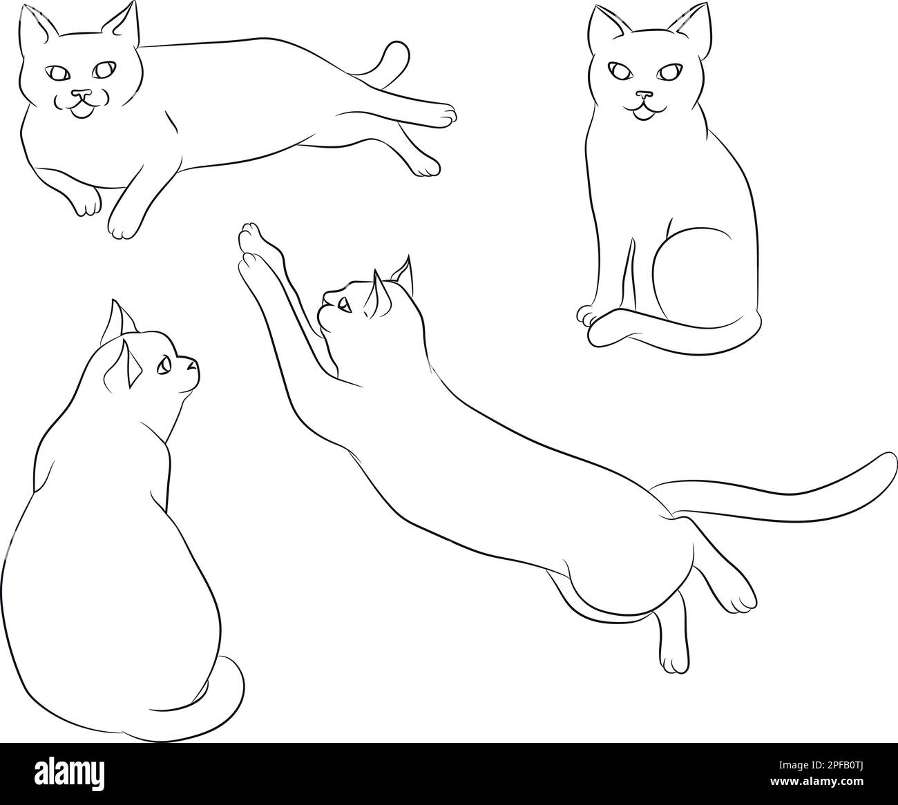 Süße, von Hand gezogene weiße Katze in verschiedenen Positionen. Set von Katzenpositionen. Katzenposieren. Katzen. Skizzieren. Vektorgrafik. Stock Vektor
