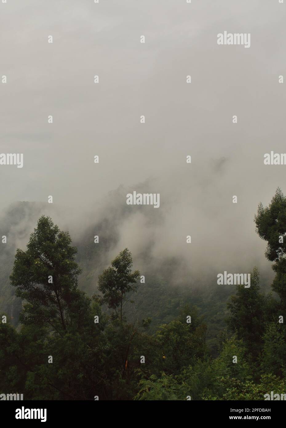 Regen mit Monsunwolken über den westlichen Ghatbergen in südindien im Spätsommer Stockfoto