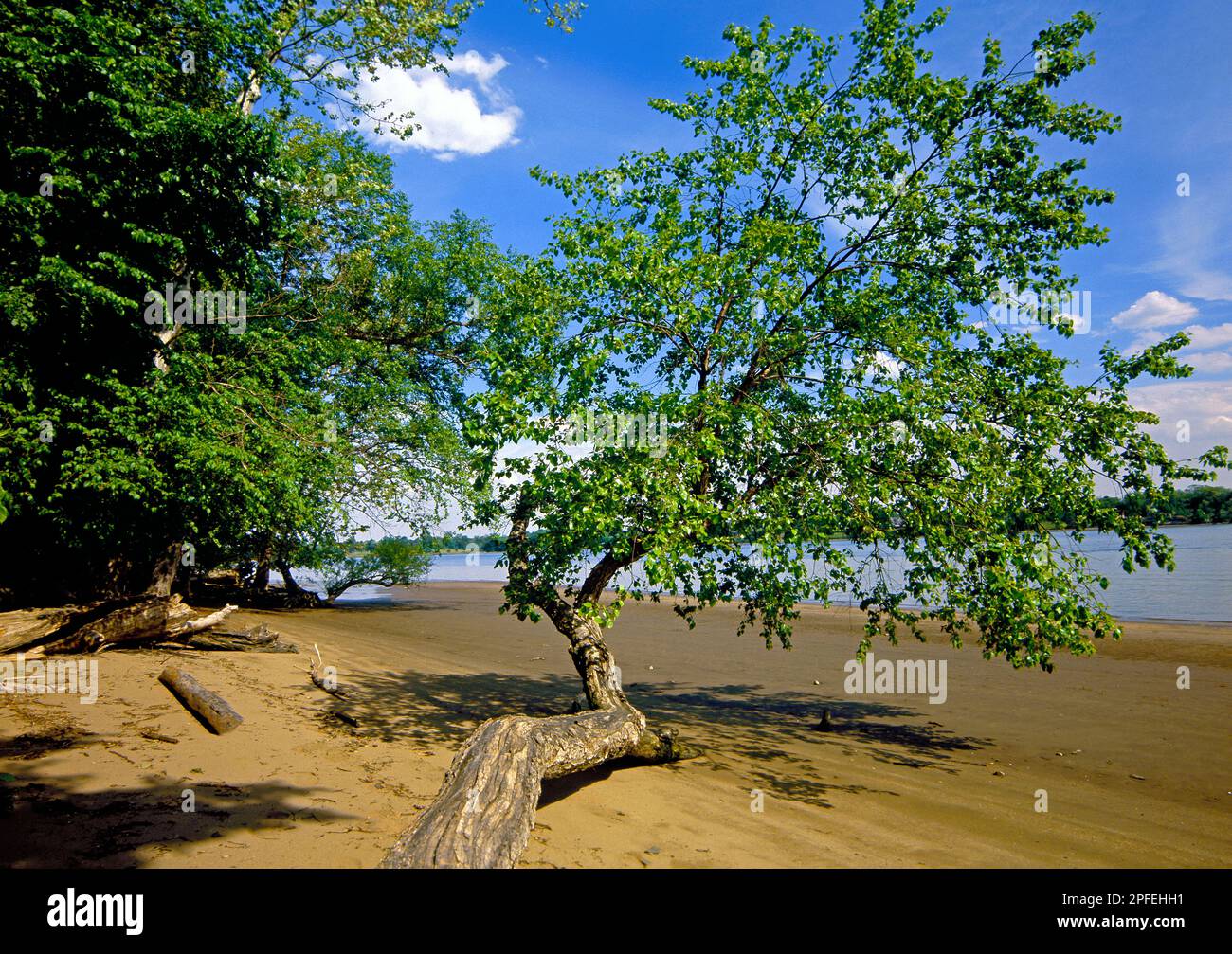 Ebbe am Delaware Estuary im Neshaminy State Park in Bucks County, Pennsylvania Stockfoto