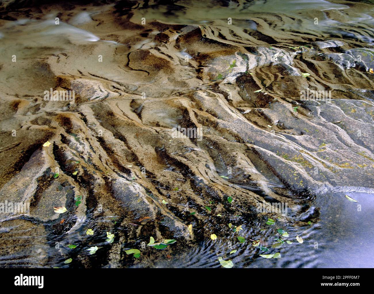 Erodierter Sandstein am Rock Run in Lycoming County, Pennsylvania Stockfoto