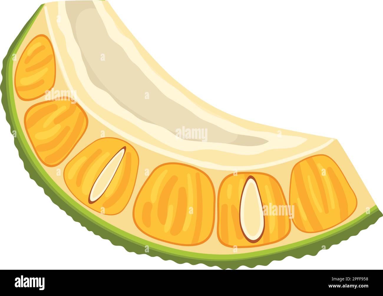 Jackfrucht-Schnitt-Cartoon-Vektordarstellung Stock Vektor