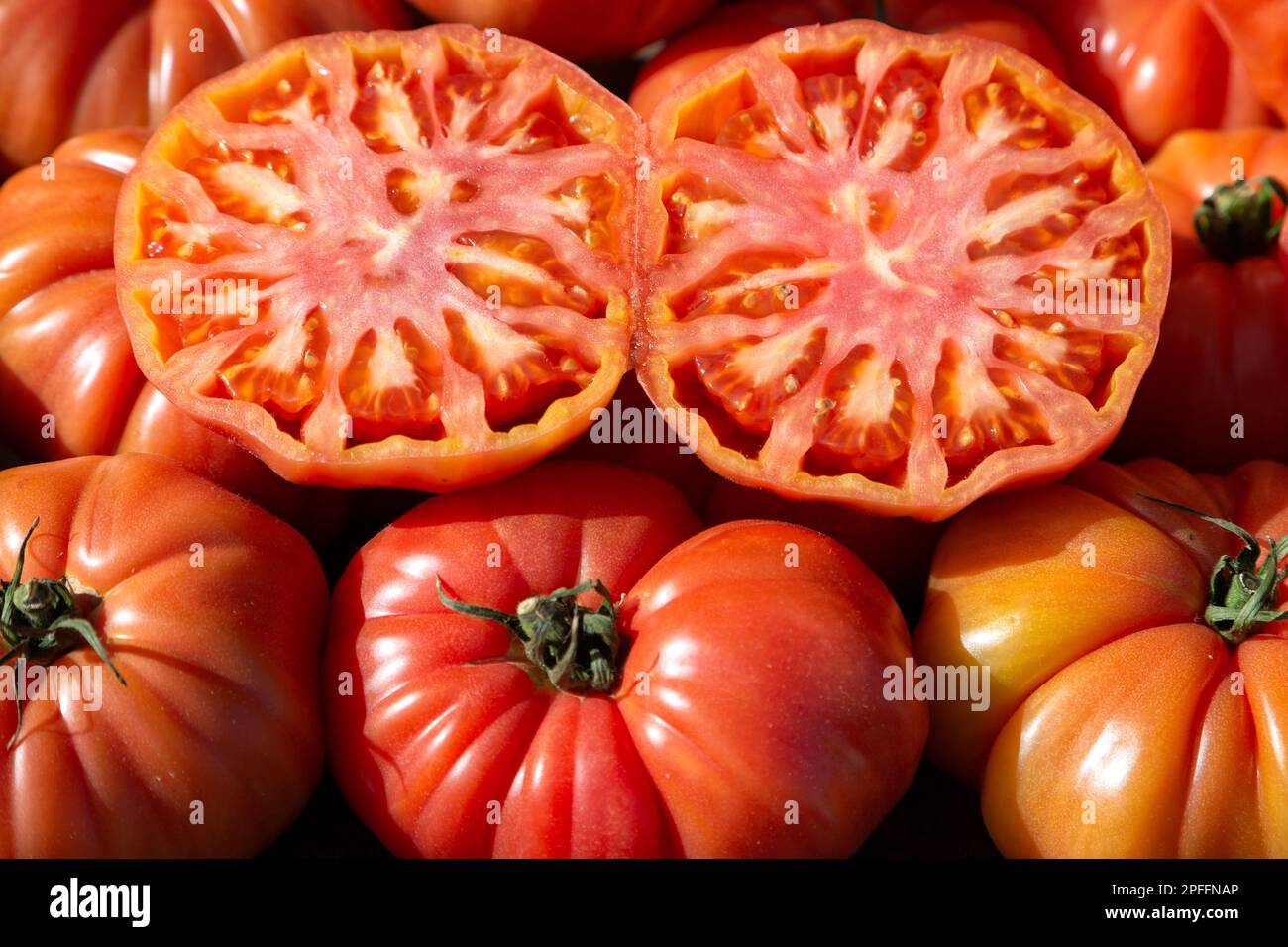 Rosa Tomaten Stockfoto