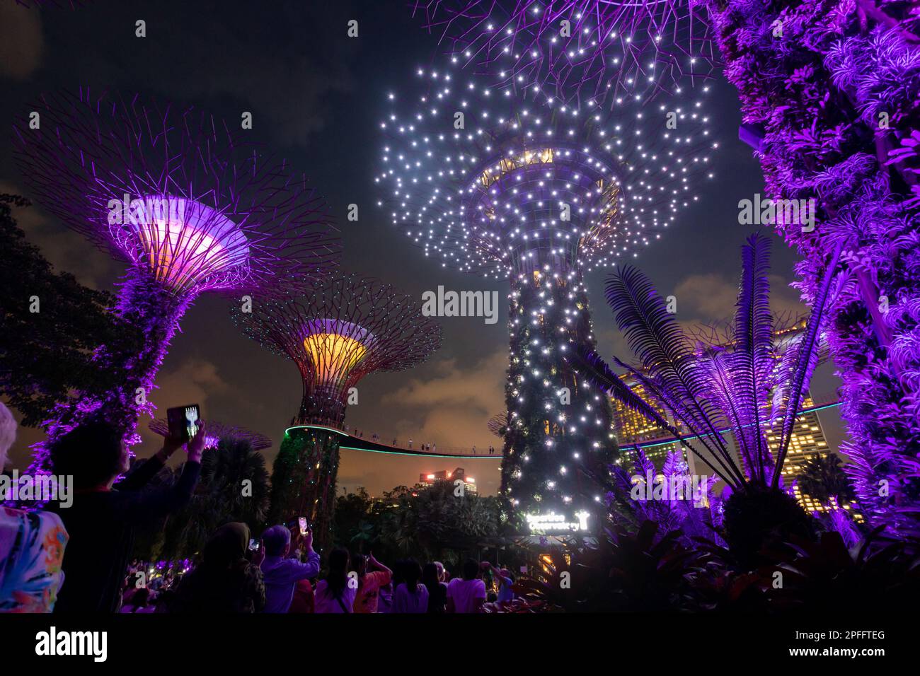 Garden Rhapsody, eine Licht- und Sound-Show im Supertree Grove in Gardens by the Bay, Singapur Stockfoto
