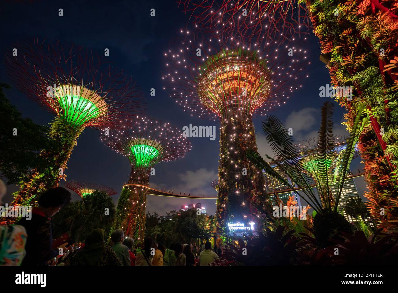 Garden Rhapsody, eine Licht- und Sound-Show im Supertree Grove in Gardens by the Bay, Singapur Stockfoto