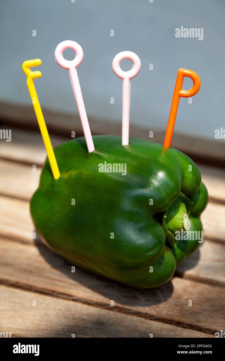 Grüne Paprika mit dem Wort „Food“ mit lustigen bunten Buchstaben aus Plastik. Ein rohes Capsicum auf einem Holztisch mit Text Food Stockfoto