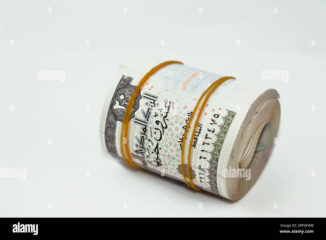 100 Stück Hunde-Haarschleifen Mit Gummiband – Bunte Mix-Packung Für Kleine Hunde & Katzen