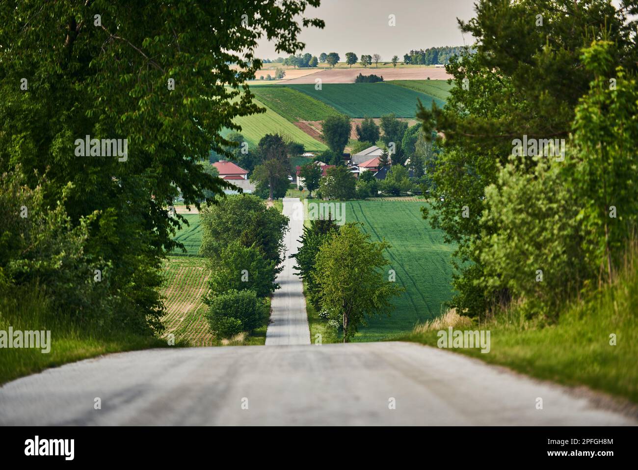 Eine Straße, die das Tal hinunter in Richtung Jaślików führt Stockfoto