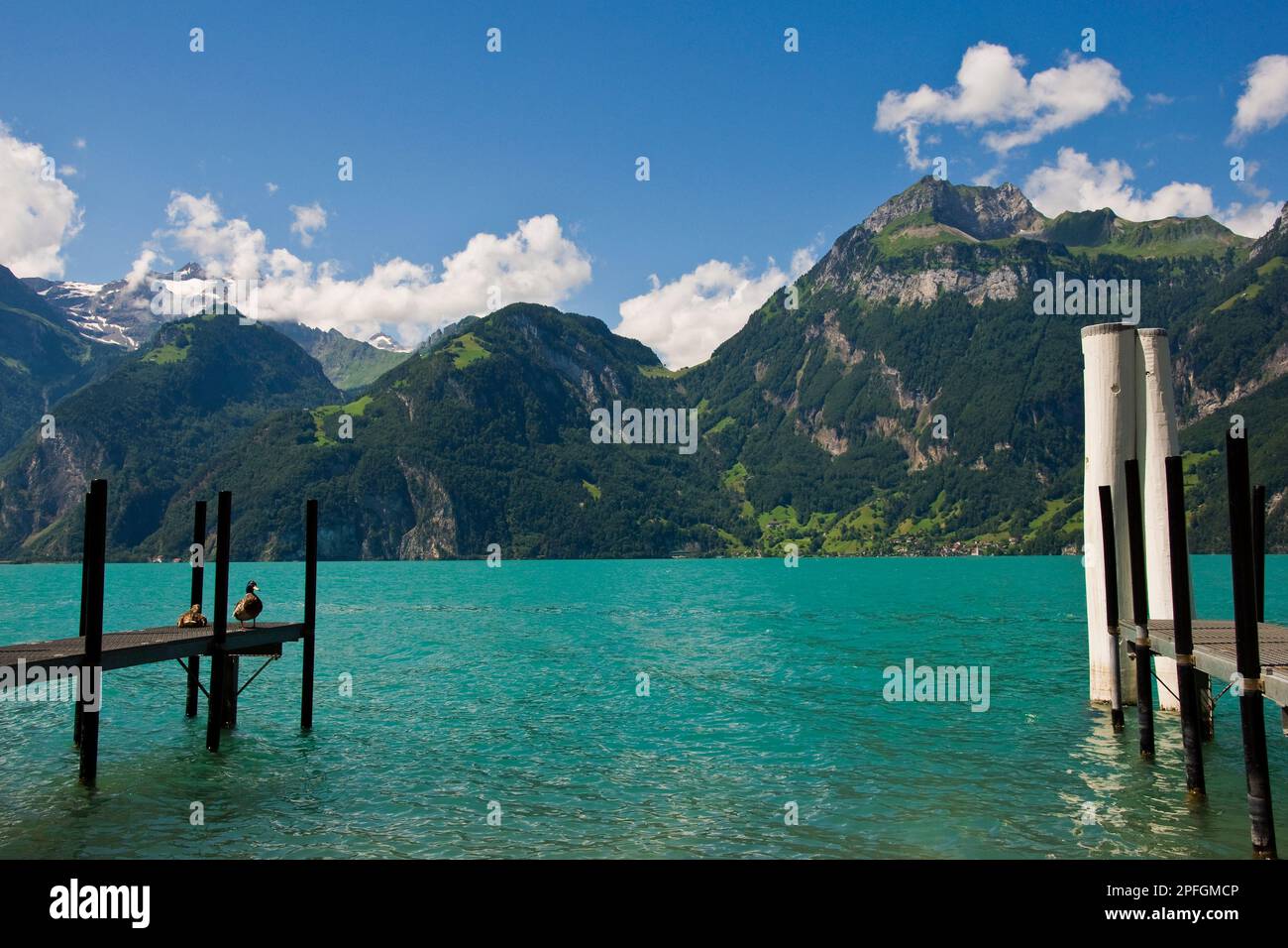 Schweiz, Kanton Schwyz, Luzern, Sisikon, Seenlandschaft Stockfoto