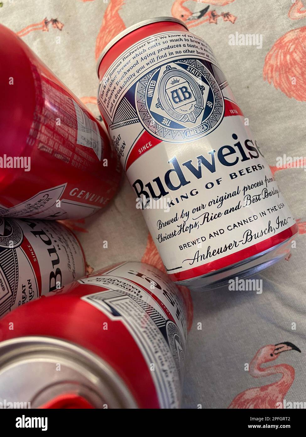 Budweiser ist ein beliebtes Pilsner-Bier in den USA, 2023 Stockfoto