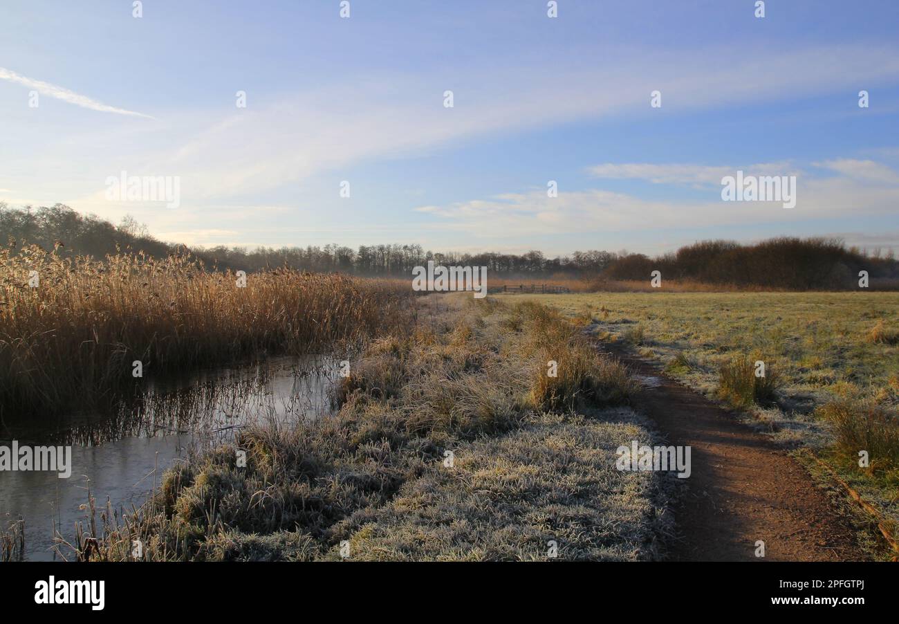Ein frostiges Carlton Marshes, Suffolk, England, im Winter Stockfoto