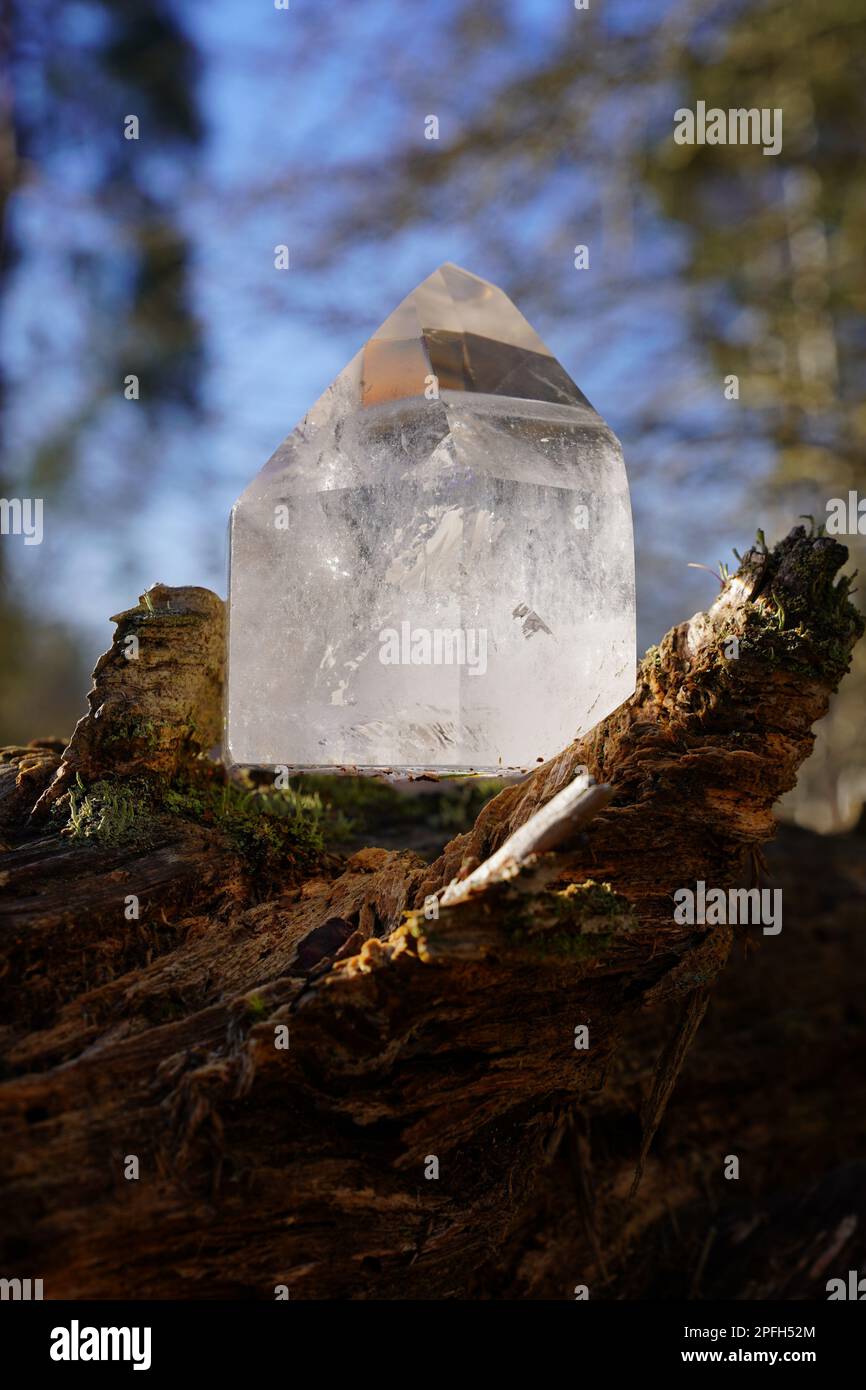 Transparenter Kristallquarz in der Natur Stockfoto