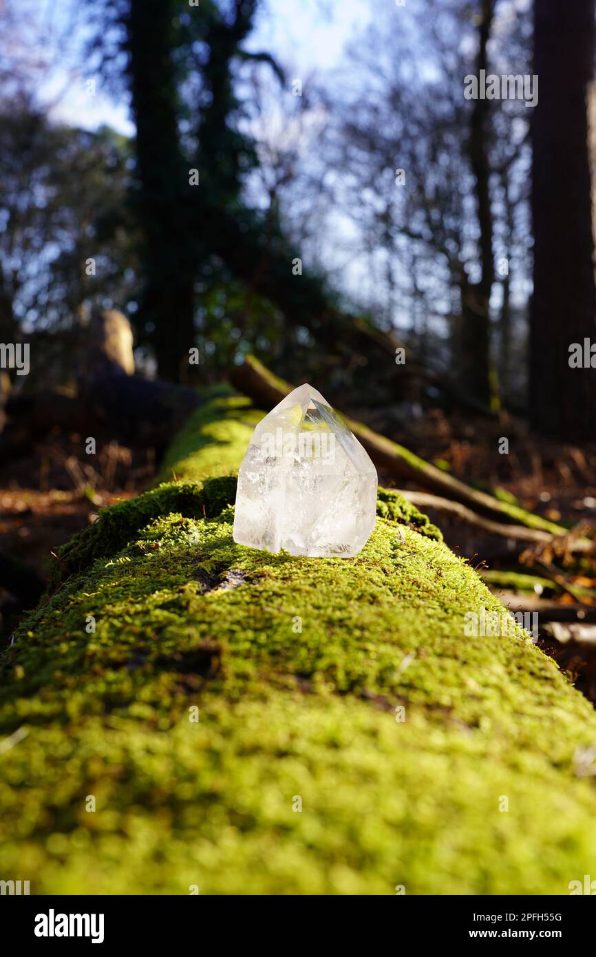 Kristallklarer Quarz im Wald. Natur und Harmonie. Stockfoto