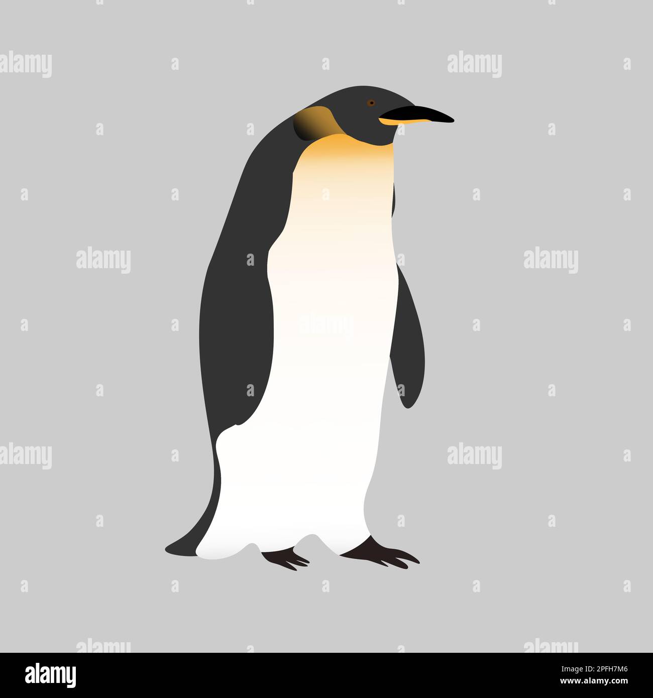 Süßer, realistischer Kaiserpinguin auf grauem Hintergrund. Realistischer Vogel der Antarktis.editierbarer Vektor für Verpackung, Papier, Drucke und Karten, Bildung Stock Vektor