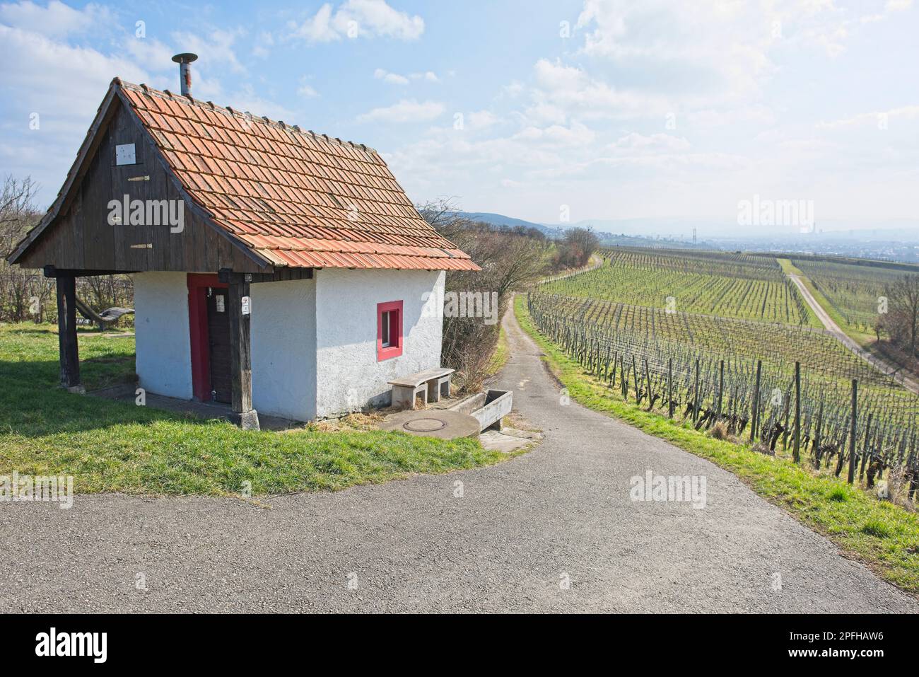 Weinberglandschaft an einem sonnigen Tag in süddeutschland in der Nähe von fischingen.“ Stockfoto