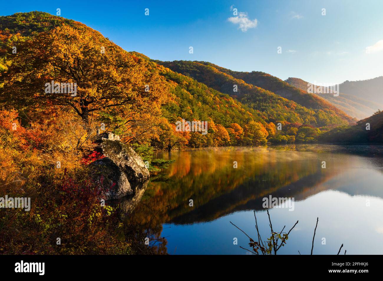 Herbstvormittag, Seenlandschaft umgeben von Bergen. Berge und Ahornbäume spiegeln sich im ruhigen Wasser wider. Nebel auf der Wasseroberfläche. Südkorea. Stockfoto